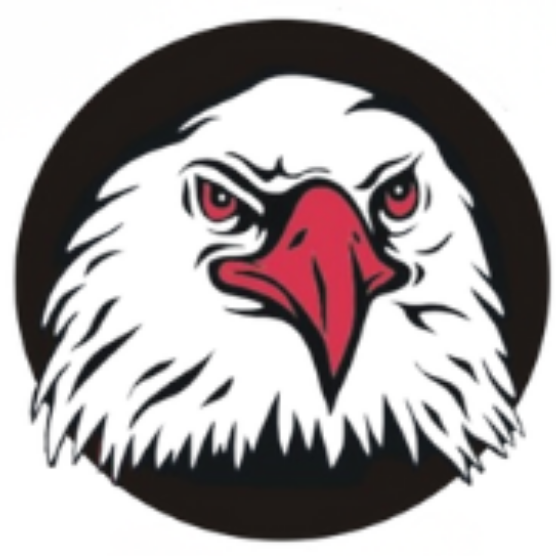 Allendale Girls Flag Football